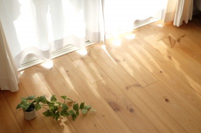 光と風をデザインする“涼活リノベ” ～自然の力を活かして、熊本の夏を心地よく暮らす住まいへ～